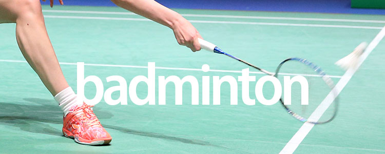 badminton image